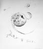 <strong>Twister</strong> Pencil on paper, 81 x 67 cm, 2011 <strong>Twister</strong> Pencil on paper, 81 x 67 cm, 2011