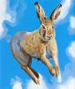 <strong>When God was a Rabbit</strong> Acrylic on canvas, 70 x 60 cm, 2011 <strong>When God was a Rabbit</strong> Acrylic on canvas, 70 x 60 cm, 2011
